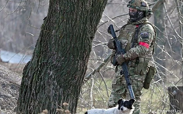 Песков заявил о сокращающемся для ВСУ времени сложить оружие в Курской области — Новости