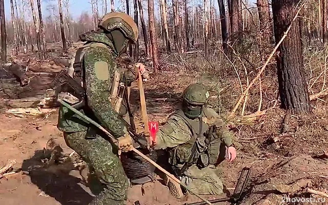 Саперы приступили к разминированию освобожденной территории Курской области — Новости