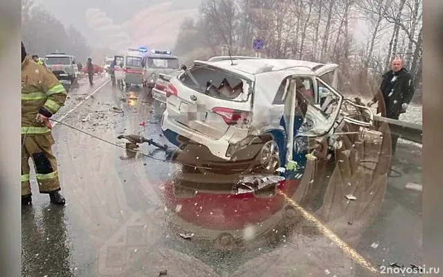 Четыре человека погибли и три пострадали в массовом ДТП на трассе под Рязанью — Новости