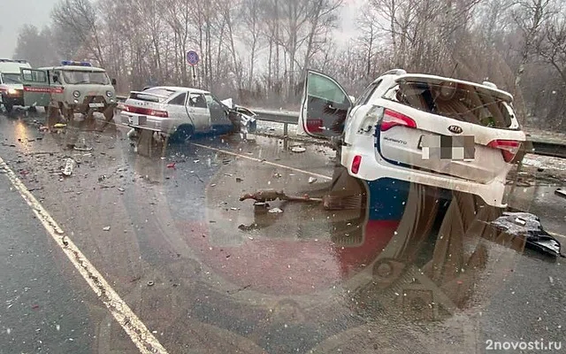 Четыре человека погибли и три пострадали в массовом ДТП на трассе под Рязанью — Новости