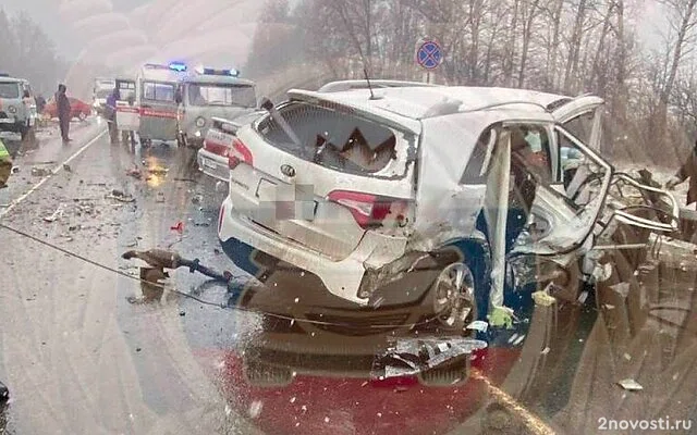 Четыре человека погибли и три пострадали в массовом ДТП на трассе под Рязанью — Новости