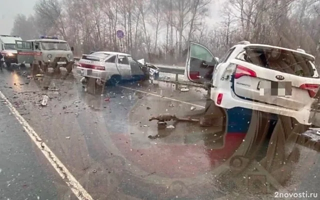 Четыре человека погибли и три пострадали в массовом ДТП на трассе под Рязанью — Новости