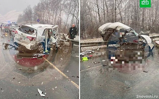 Четыре человека погибли и три пострадали в массовом ДТП на трассе под Рязанью — Новости