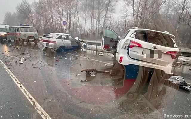 Четыре человека погибли и три пострадали в массовом ДТП на трассе под Рязанью — Новости