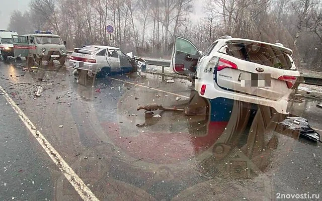 Четыре человека погибли и три пострадали в массовом ДТП на трассе под Рязанью — Новости