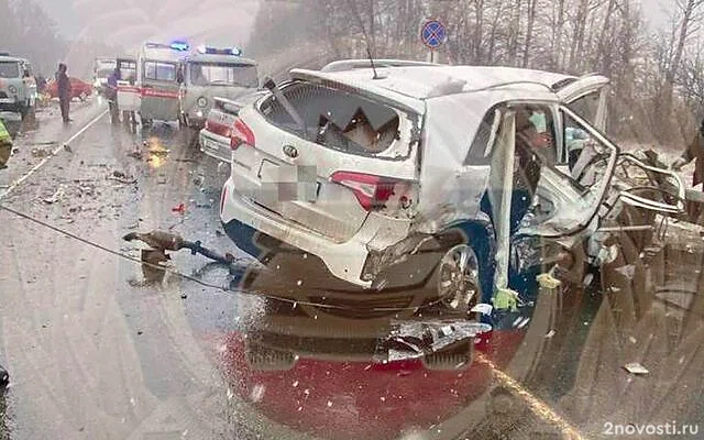 Четыре человека погибли и три пострадали в массовом ДТП на трассе под Рязанью — Новости