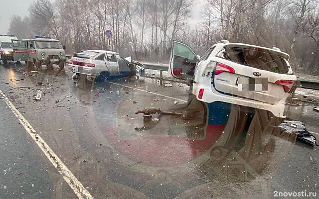 Четыре человека погибли и три пострадали в массовом ДТП на трассе под Рязанью — Новости