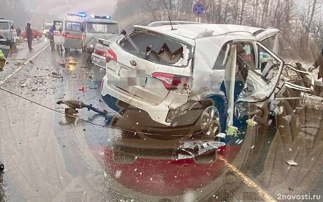 Четыре человека погибли и три пострадали в массовом ДТП на трассе под Рязанью — Новости