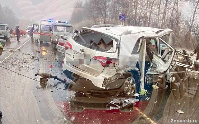 Четыре человека погибли и три пострадали в массовом ДТП на трассе под Рязанью — Новости