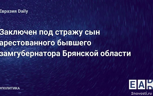 Сына арестованного экс-замгубернатора Брянской области заключили под стражу — Новости