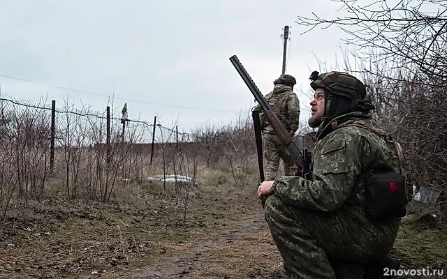 ВСУ за сутки потеряли более 210 военных на курском направлении — Новости