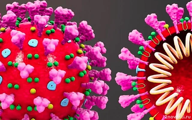 BioRxiv: ИИ за два дня раскрыл механизм работы супербактерий — Новости