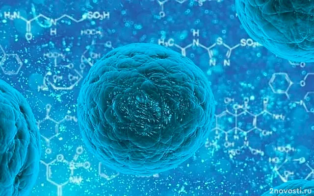 BioRxiv: ИИ за два дня раскрыл механизм работы супербактерий — Новости