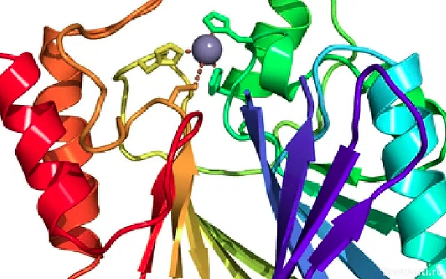 BioRxiv: ИИ за два дня раскрыл механизм работы супербактерий — Новости