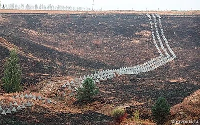 «Ъ»: Курск передал Москве дела о растратах при возведении защитных укреплений — Новости