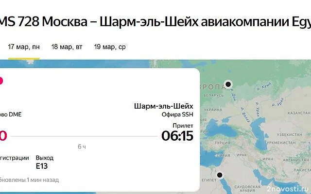 Туристы почти сутки ждут рейса в Шарм-эш-Шейх в аэропорту Домодедово — Новости