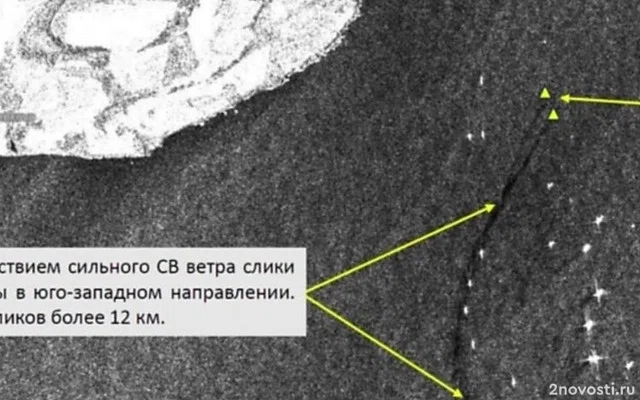 Участники проекта «Земля касается каждого» показали кадры со дна Черного моря — Новости