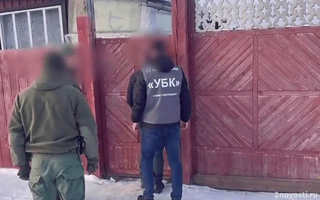 В Туле задержали пособников украинских телефонных мошенников — Новости